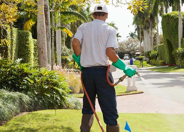 About Heuvelton NY Pest Control